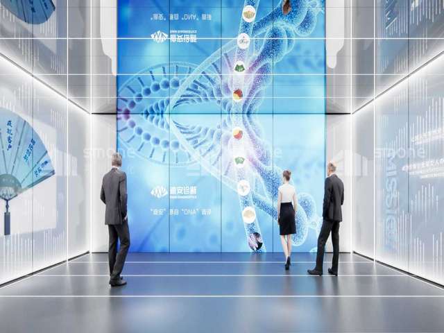 云南紫魔芋种子供应商