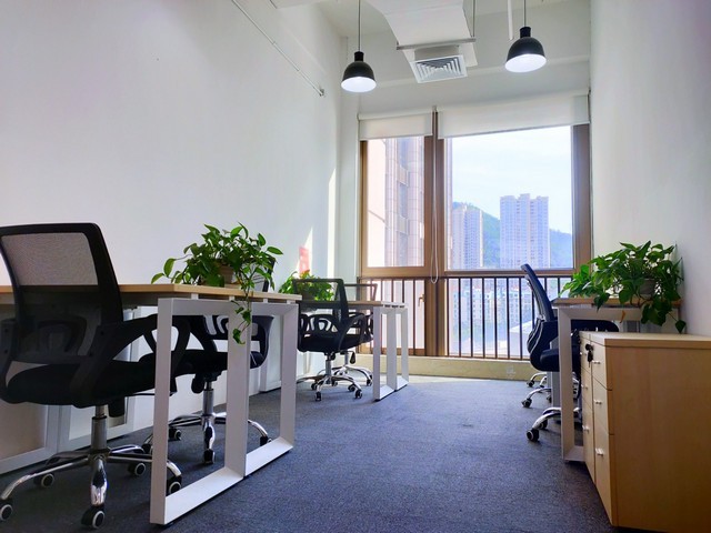 上海鼎中弹性造型模板选型价格