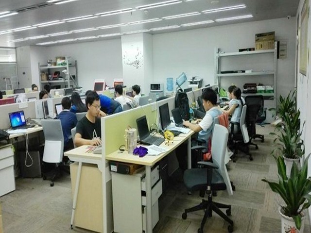 山东康禾健正当年医药白番茄批发商