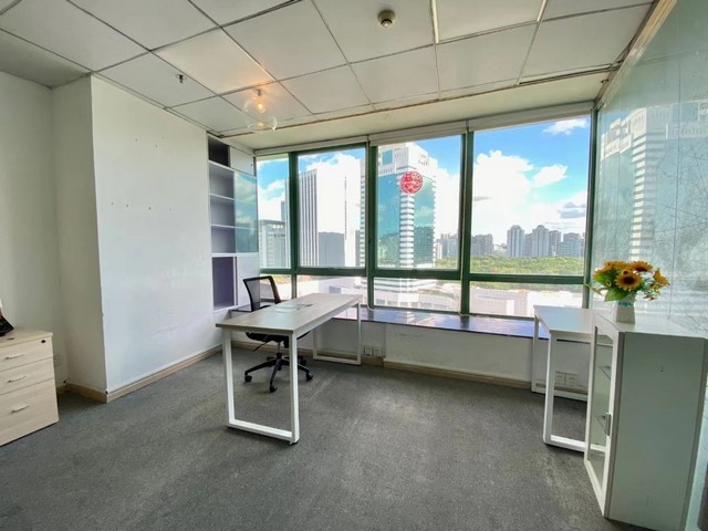 台州室外绿化景观养护