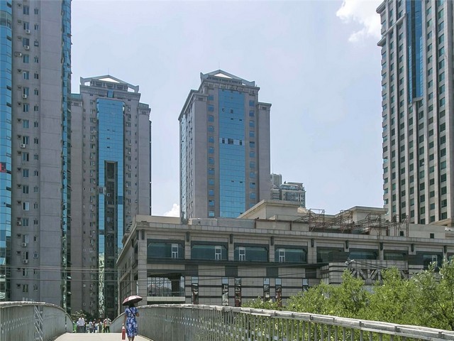 山西蜂巢蜜批发零售