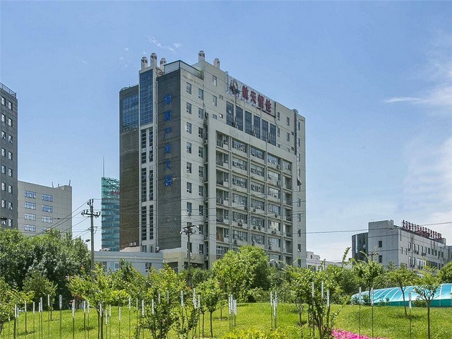 济南山农25小麦种子招商